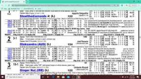 Best Horse Racing Handicapping Tutorial and Tips