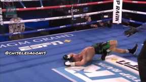 These Boxers Need To Be JAILED For These KNOCKOUTS | Everybody Sent To The Shadow Realm