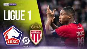 Lille vs Monaco | LIGUE 1 HIGHLIGHTS | 10/23/2022 | beIN SPORTS USA