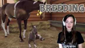 BREEDING THE BEST AND MOST BEAUTIFUL HORSES #1 - Rival Stars Horse Racing | Pinehaven