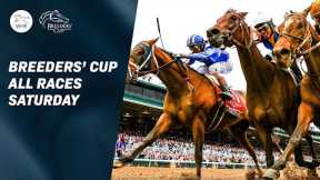 All Races: Breeders' Cup 2022 Saturday