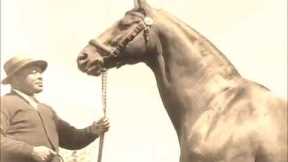 Tribute to Man O' War Race Horse by Team Velvet, Inc.