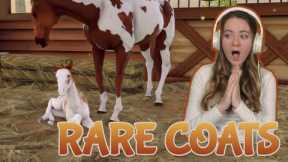 BREEDING BEAUTIFUL RARE HORSES AND COATS - Rival Stars Horse Racing | Pinehaven