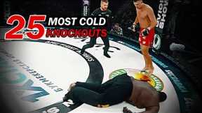 25 Most Cold Knockouts Ever In MMA