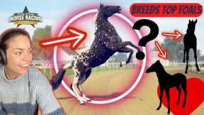 Breeding my BEST EVER RACEHORSE / Rival Stars Horse Racing.