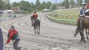 'Most Dangerous Job' in horse racing with amazing footage (outriders)