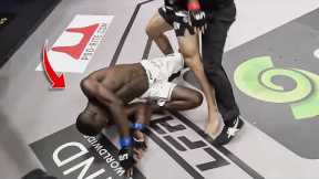 MMA Knockouts You Probably Haven't Seen #2