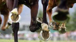 Perth Cup 2023 called off mid-race after horse falls