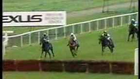Horse Racing Gone Bad (part 1)