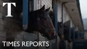 Is horse racing’s future under threat? | Times Reports