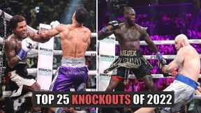 Boxing's Top 25 Knockouts Of 2022