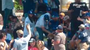 Dog Catches MLB Home Run Ball; Good Boy Keeps Away From Those Two-Legged Fans