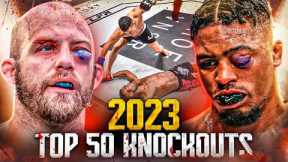 Top 50 Most Brutal Knockouts Of 2023 | MMA Knockouts