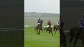 Jockey gets kicked by horse