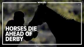 Churchill Downs calls horse deaths 'completely unacceptable'
