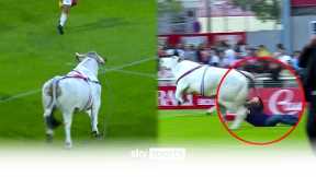 Bull ESCAPES in Rugby League warmup! 😱