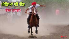 🔴SAUJA (Nabha) || HORSE RACING || 17 June 2023