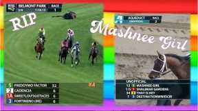 RIP Mashnee Girl. 🌸 KILLED AT BELMONT 6.11.23 @thenyra #horseracing
