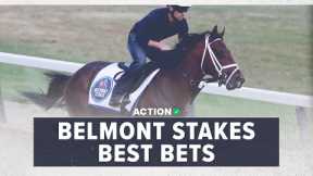 2023 Belmont Stakes Best Bets | Horse Racing Picks, Odds & Strategy | Horse Racing Betting 101
