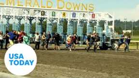 Hilarious grandparents face off and face plant during horse track race | USA TODAY