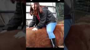 People fail in Horse Riding Challenge | TRY NOT TO LAUGH ★ Funny|