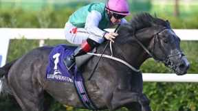 Sky the limit for exciting Leopardstown winner Waltham | Racing TV