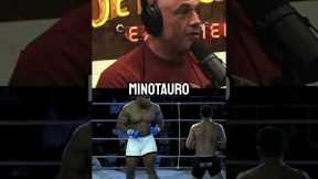 The Biggest MMA Fighter