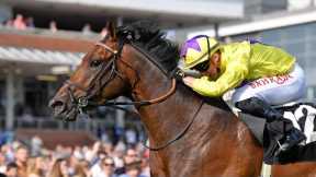 Champion Stakes contender? Listed glory for the enigmatic My Prospero