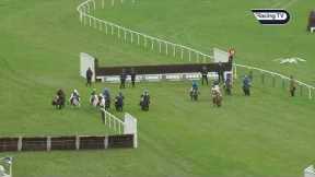 Incredible renewal of the Cheltenham Shetland Pony Race