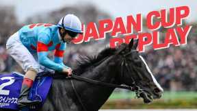 What A Champion! The World's Best Horse Equinox Is Unbelievable In Winning The 2023 Japan Cup.