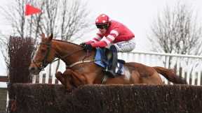 Chaser to follow! BLOOD DESTINY looks exciting at Naas | Racing TV