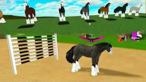 Crazy Horse Racing Race Track - Let's Play Online Roblox Horses Games - Honeyheartsc