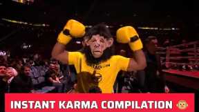 INSTANT KARMA - COMPILATION 🐵 GORILLA IS KNOCKED OUT - Best satisfying moments