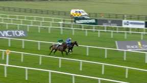READIN TOMMY WRONG fends off ILE ATLANTIQUE to win the Lawlor's Of Naas Novice Hurdle