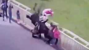 Horse Racing Accident - Horse Collides with Spectators