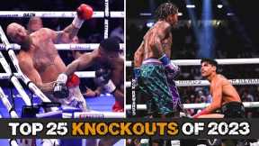 Boxing's Top 25 Knockouts Of 2023!