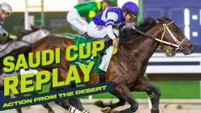 All Races: #SaudiCup 2024, Including Senor Buscador's Thrilling Cup Win!