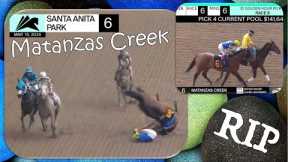 Matanzas Creek WINS RACE 🏆 THEN KILLED 3.16.24 @SantaAnitaParkLive  #horseracing