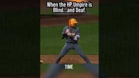 The Hitter REALLY wanted Time! #baseball
