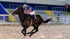 AGENDA advertises Classic claims for Aidan O'Brien at Dundalk