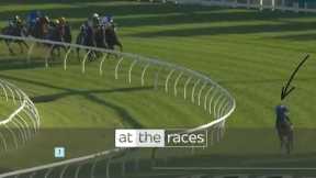 RUN OF THE CENTURY! | Pride Of Jenni storms home in the Queen Elizabeth Stakes