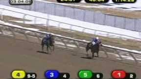 Horrifying Horse Racing Accident