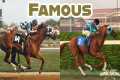 BUYING FAMOUS RACEHORSES! - Rival
