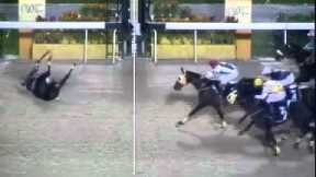 Perhaps this is the horse racing accident you never seen in your live.