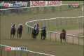 Racehorse shows incredible burst of