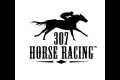 307 Horse Racing, Energy Downs, June