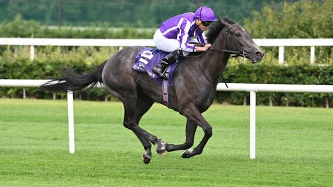Potential star BEDTIME STORY comfortably maintains unbeaten record at Leopardstown