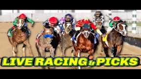 Hawthorne Picks & Live Horse Racing Stream | Racing Dudes LIVE