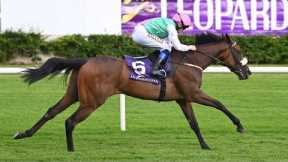 1000 Guineas prospect? SWELTER looks exciting on debut at Leopardstown | Racing TV