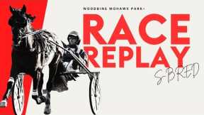 Mohawk, Sbred, June 13, 2024 Race 9 | Woodbine Horse Race Replay